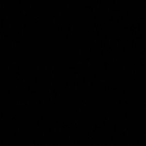 Meet your Posher, Shanesha